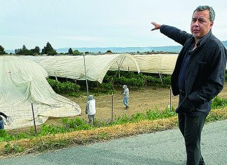 Pesticide Reality Tour Man pointing at agricultural fields covered with tarps near school in Pajaro Valley