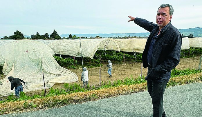 Pesticide Reality Tour Man pointing at agricultural fields covered with tarps near school in Pajaro Valley