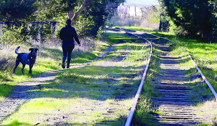 RTC Seeks $15 Million Person walking a dog beside railroad tracks along the Santa Cruz rail corridor