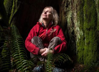 Things to do in Santa Cruz Woman sitting among redwood trees and ferns in forest looking upward