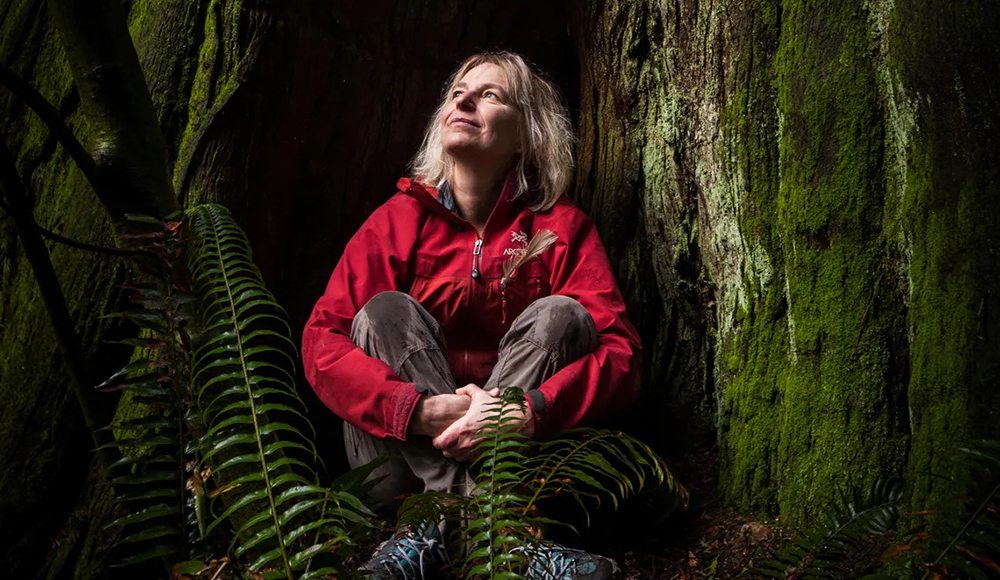 Woman sitting among redwood trees and ferns in forest looking upward