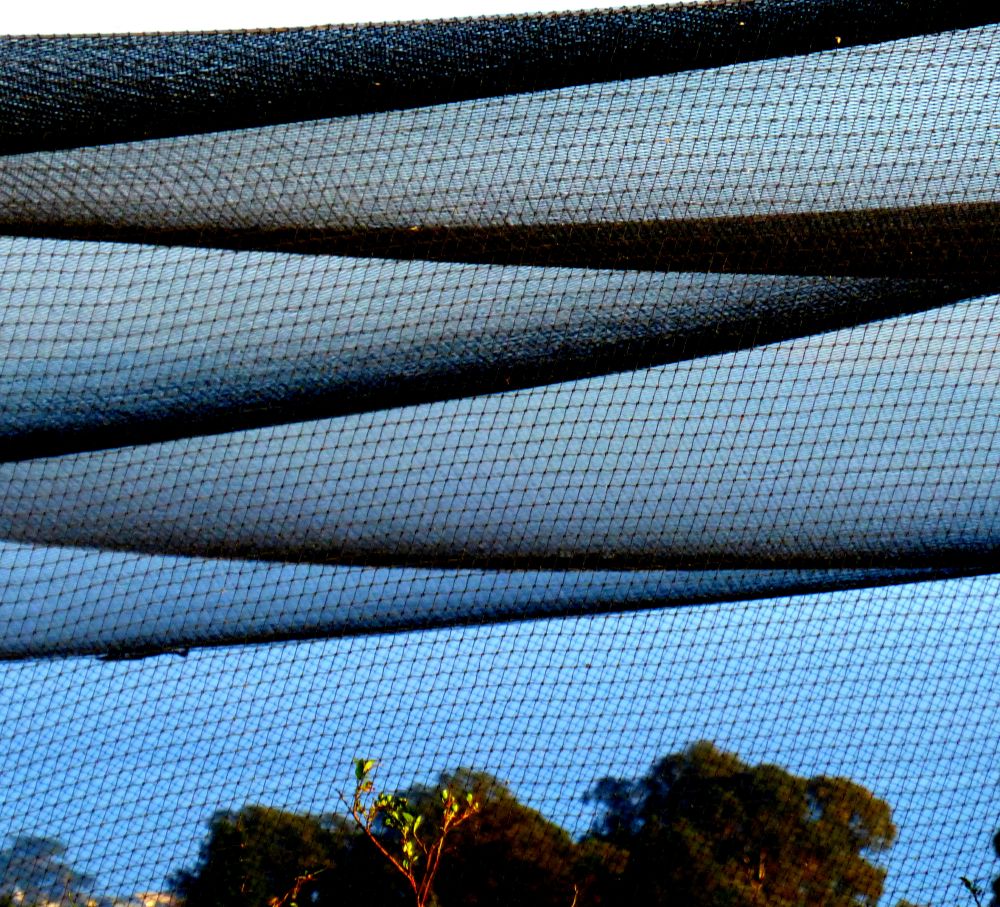 Scenic relaxing view at UCSC Farm and Garden with greenery and open landscape