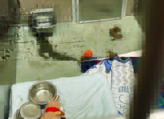 No Shelter animal shelter kennel leaking water dish poor conditions santa cruz