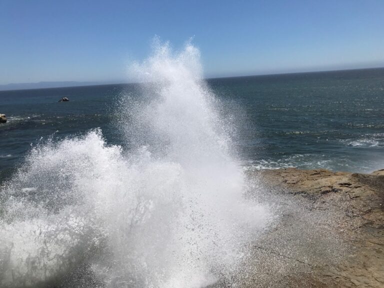 Don’t Turn Your Back on the Ocean