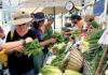 Finding Super Foods Shoppers browse fresh greens, radishes and other produce at a Santa Cruz farmers’ market.