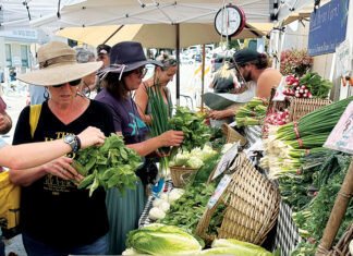 Finding Super Foods Shoppers browse fresh greens, radishes and other produce at a Santa Cruz farmers’ market.