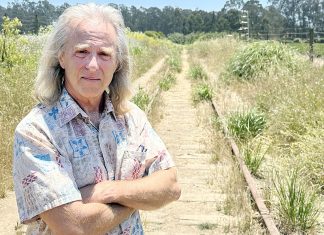 The Editor’s Desk Wallace Baine stands outdoors on a sunny railroad with tall grass behind him.