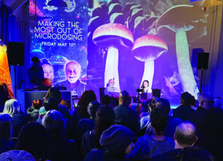Psychedelics Grow Up Audience attends a psychedelic education event beneath projected mushroom imagery