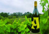 Ideal Nectar Bottle of Alfaro Family Vineyards A Estate Chardonnay stands among grapevines