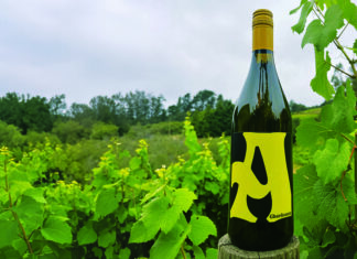 Ideal Nectar Bottle of Alfaro Family Vineyards A Estate Chardonnay stands among grapevines
