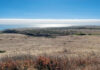 Best of Santa Cruz County 2026: Editors’ Picks Best of Santa Cruz 2026, editors' picks, cotoni coast