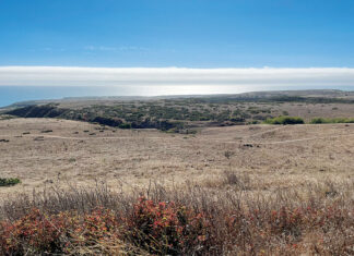 Best of Santa Cruz County 2026: Editors’ Picks Best of Santa Cruz 2026, editors' picks, cotoni coast