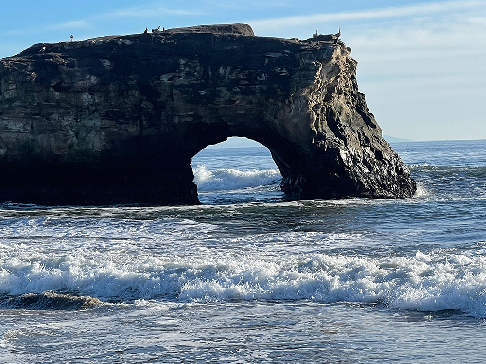 Best of Santa Cruz 2026, natural bridges