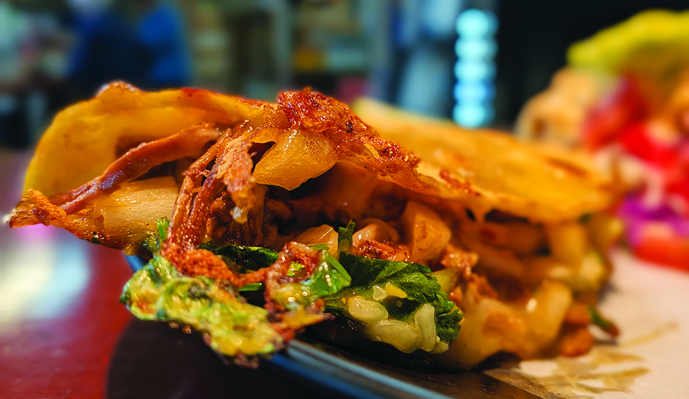 Quesabirria and Baja-style tilapia tacos from Casa Birria