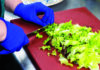 Scared of Salads A food worker wearing blue gloves chops fresh lettuce on a cutting board.