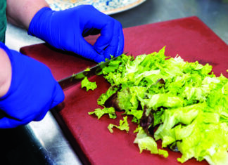 Scared of Salads A food worker wearing blue gloves chops fresh lettuce on a cutting board.