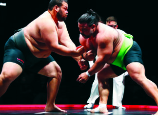 So Much Sumo