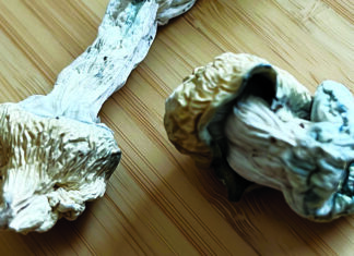 Dosing Duos