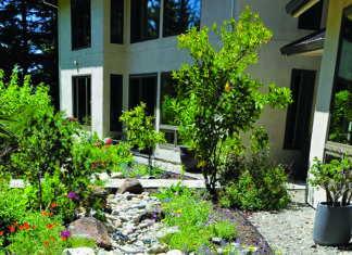 New Fireproofing Rules Fire-resistant landscaping and defensible space around a Santa Cruz County home.