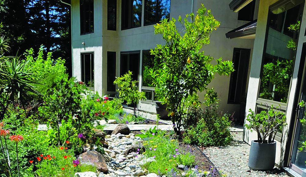Fire-resistant landscaping and defensible space around a Santa Cruz County home.