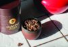 Fired Up Gold Dot coffee beans displayed in a handmade ceramic vessel