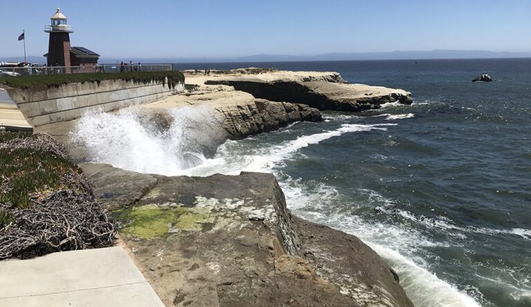 Coastal Protection